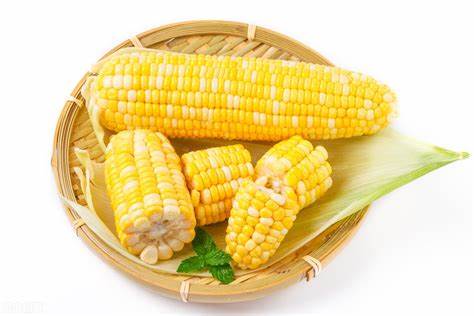 迪卡2235是转基因玉米吗