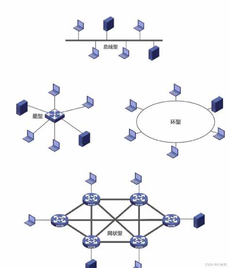 计算机网络的组成与分类