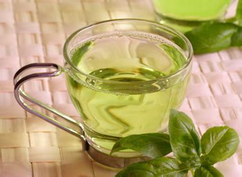 绿茶投茶量几多适合,一斤绿茶须要几多鲜茶