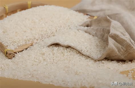 丝苗米 桶装大米 厂家直销广西巴马长寿村自产长粒香米批发价格 大米-食品商务网