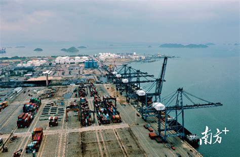惠州：整合港口资源 打造港口发展新优势_惠州新闻网
