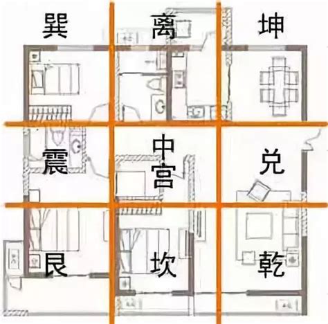 CorelDraw怎么将图片制作九宫格效果？CDR九宫格图片制作教程-羽兔网