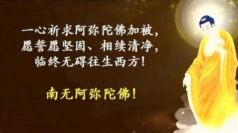 《西方发愿文》信愿引导36 圆信法师20171218_腾讯视频