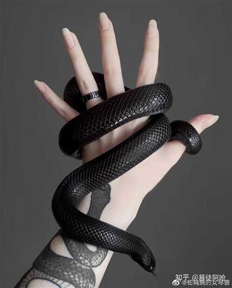 全身黑色的蛇是什么蛇？ - 知乎