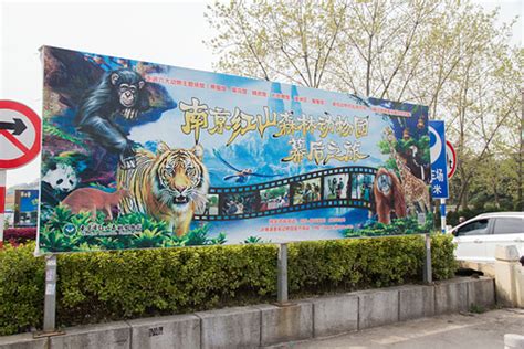 南京红山森林动物园领养活动“上新”啦 - 知乎
