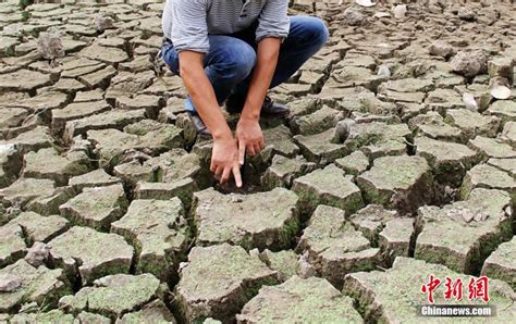 江西鄱阳湖部分湖区干涸见底-人民图片网