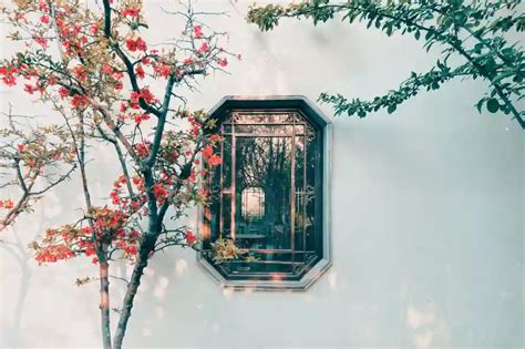 匪窟 的图像结果
