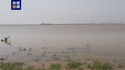 鄱阳湖水位快速上涨 水体面积一周扩大一倍多-大河网