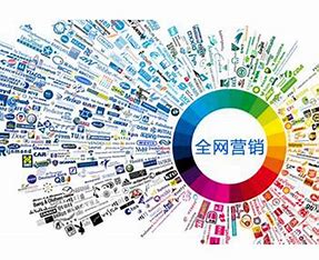 磁县企业网络推广网站优化 的图像结果