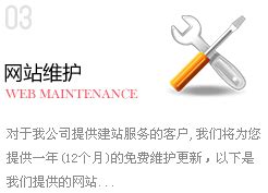 “中国绍兴”政府门户网站改版方案Word模板下载_熊猫办公