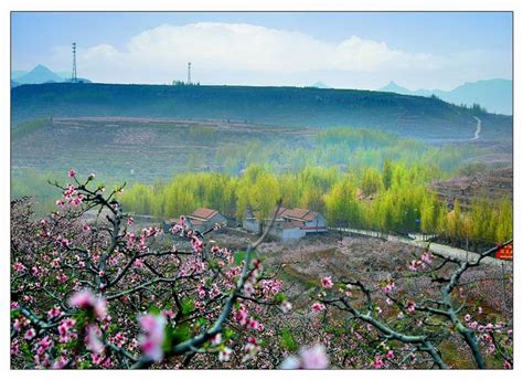 【星月春】触摸，故乡的春天（散文）_江山文学网