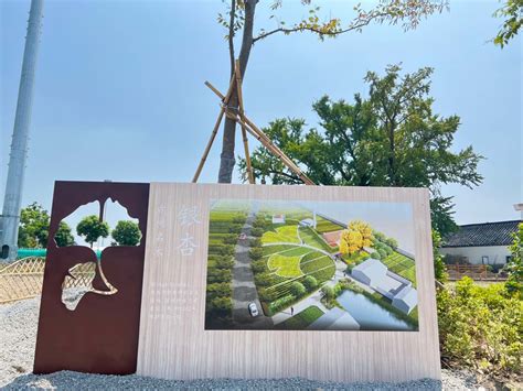 陶庄： “钢铁小镇”换新颜 做好创建省级园林城镇的“绿”文章