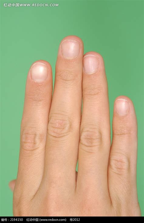 女人无名指比食指长代表什么意思（手指透露的人体秘密） | 一言君