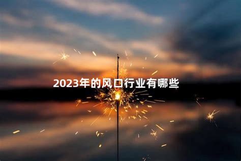 2023年汽车空调出风口发展趋势 - 2023-2029年全球与中国汽车空调出风口行业市场调研及发展趋势报告 - 产业调研网