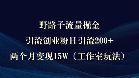 野路子流量掘金，引流创业粉日引流200+，两个月变现15W（工作室玩法））_优创网