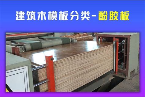 木质建筑清水模板的5个制作工艺-廊坊鑫汇木业有限公司