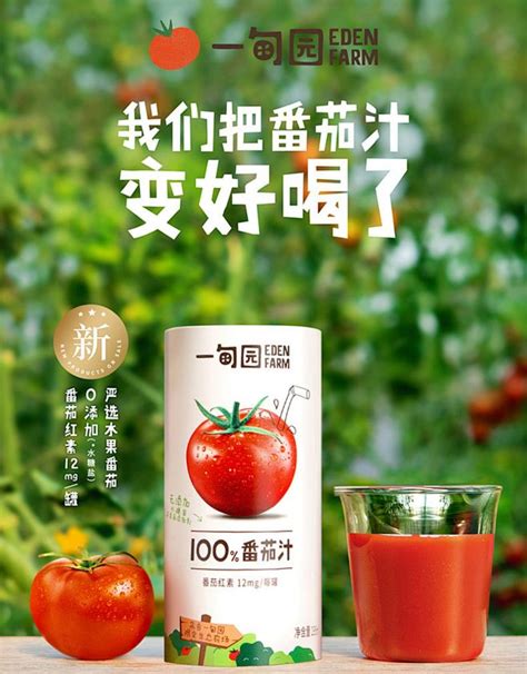 一甸园番茄汁100%0脂代餐补蔬菜无添加糖NFC果汁饮料195ml*8罐装-淘宝网