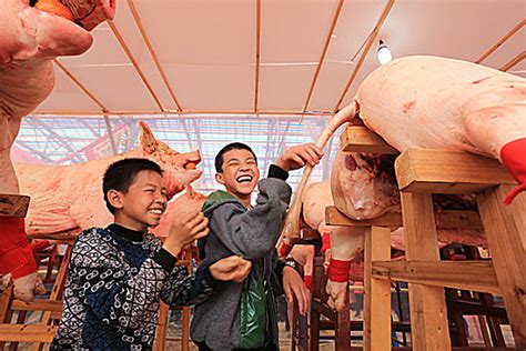 中国6000斤猪王,猪王图片,最大的菠萝1000斤_大山谷图库