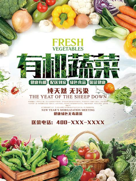 有机蔬菜海报_素材中国sccnn.com