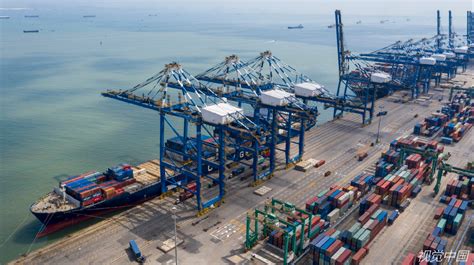 上半年上海市外贸好于全国平均水平，二季度进出口恢复增长