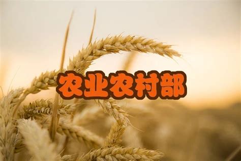 中华人民共和国农业农村部公告 第64号 | 中国动物保健·官网