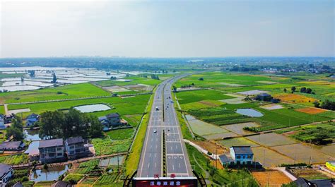 中缅新通道（仰光-临沧-成都）首次抵达成都国际铁路港-人民图片网