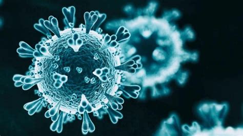 变异新冠病毒的“毒性”更强？专家回应来了_凤凰网视频_凤凰网