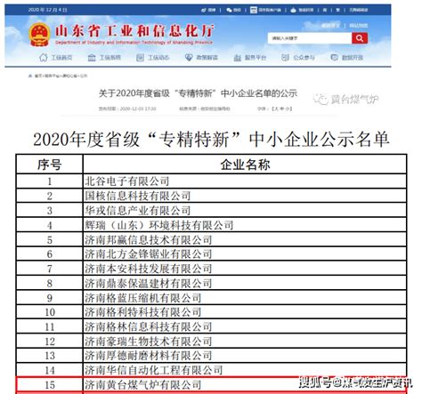 热烈祝贺我公司获评2020年度山东省“专精特新”中小企业！-搜狐大视野-搜狐新闻