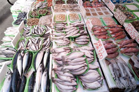 【アメ横の鮮魚店】の画像素材(41180769) | 写真素材ならイメージナビ