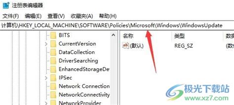 windows11怎么阻止电脑更新？-win系统更新关闭的方法 - 极光下载站
