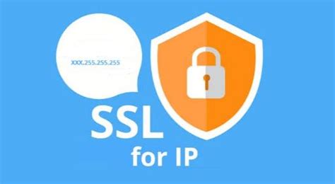 没有域名只有IP地址可以申请SSL证书吗？ - 美国主机侦探