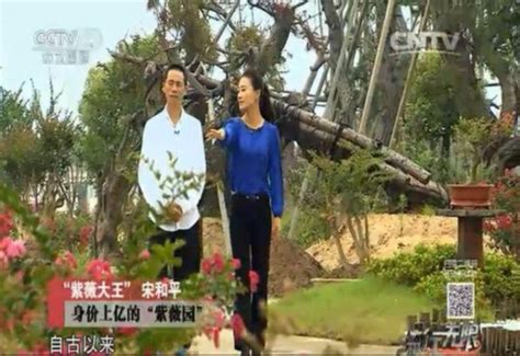 组图：CCTV4《直通香港》工作照_新闻中心_新浪网