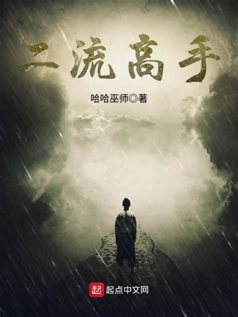 《二流高手》小说在线阅读-起点中文网