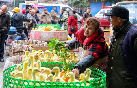四川广安：畜禽市场升温 农民“补栏”忙-人民图片网