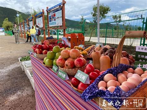 开屏新闻-怒江兰坪县通甸镇：一个农业产业园内，村民可获4类收入