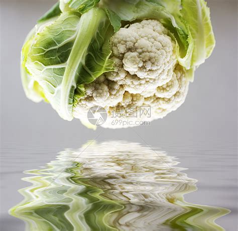白菜营养绿色食物烹饪生产木板圆形沙拉蔬菜白色高清图片下载-正版图片321923923-摄图网
