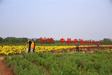 邯郸肥乡游记之十二，肥义公园风景组图，公园东区