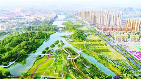 亳州林拥城：五彩斑斓生态林 美景如画待游人