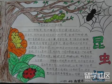 卡通可爱昆虫记小报手抄报Word模板下载_熊猫办公