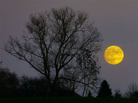 月球,满月,月出高清图库素材免费下载(图片编号:6831662)-六图网