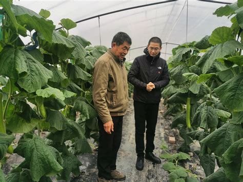 土肥、植保所科技人员赴陇南开展农技培训工作-土壤肥料与节水农业研究所