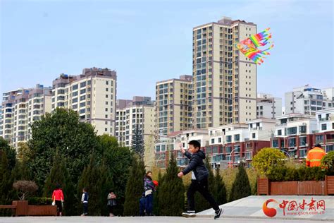 陇南市武都区2018年龙凤乡易地扶贫搬迁工程（汉王安置点）