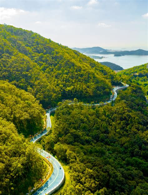 【水利“浙”十年】舟山：治水兴水泽沃土 水润民生绘新篇