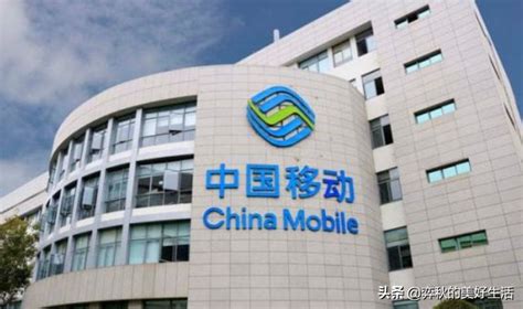 5 大中国软件公司_华为是中国最大的软件公司-CSDN博客