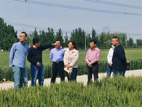 中国农技推广