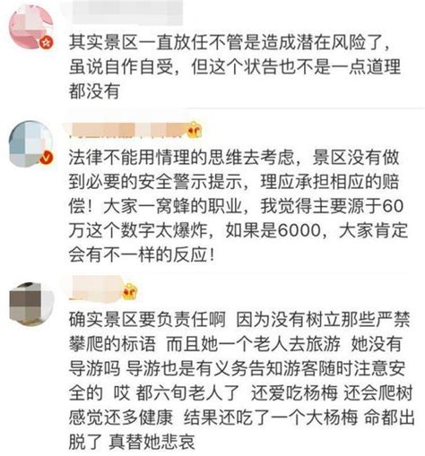 游客偷摘杨梅坠亡 景区被判赔4万5 网友质疑_新民社会_新民网