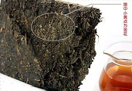 云南宫廷普洱茶多少钱一斤