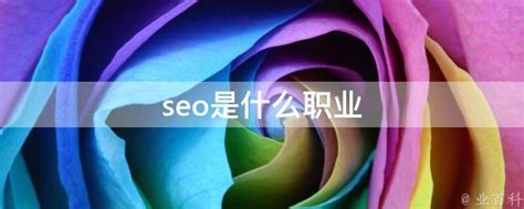 seo是什么职业 - 业百科