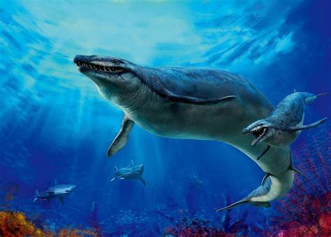 山西发现2.9亿年前二叠纪史前海洋顶级杀手_凤凰网历史_凤凰网