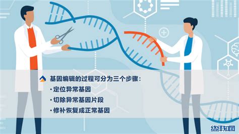 麦肯锡：人工智能如何加速细胞和基因疗法的研发|基因疗法|细胞|人工智能_新浪新闻